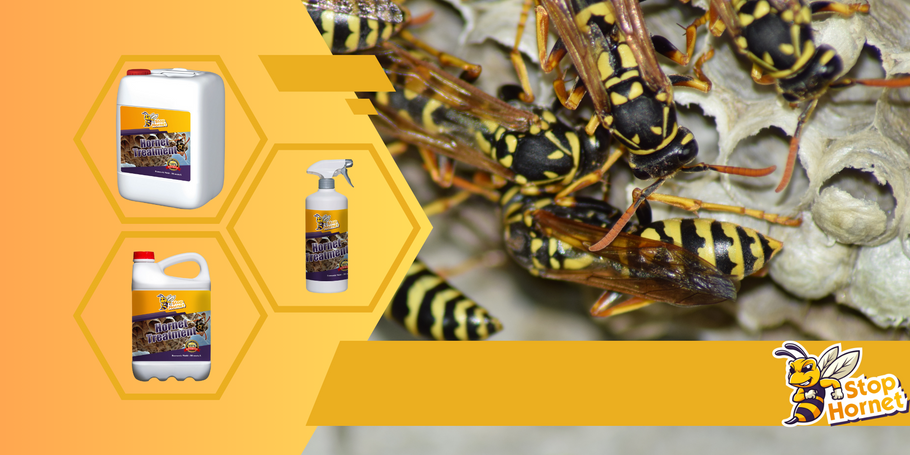 What is the best anti-Hornets and Wasps treatment?