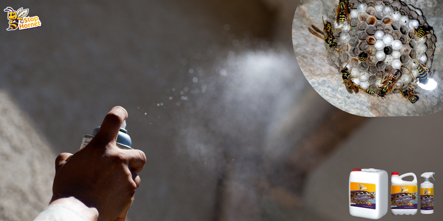Effective duration of anti-hornet and wasp treatment: everything you need to know.