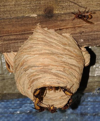 Image #1 from Juju K.