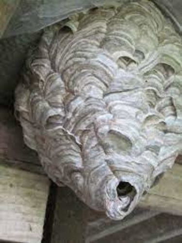 Image #1 from Alex B.