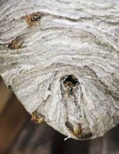 Image #1 from Alain A.