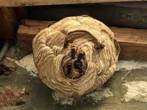 Image #1 from Christian P.