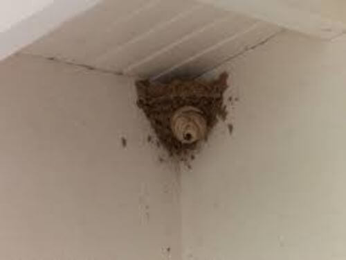 Image #1 from Zidane R.