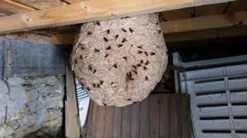 Image #1 from Alphonse T.