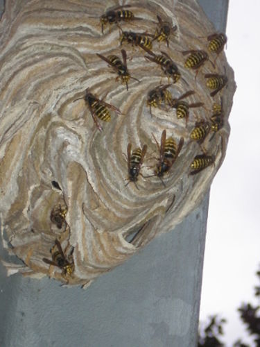 Image #1 from Jacques S.