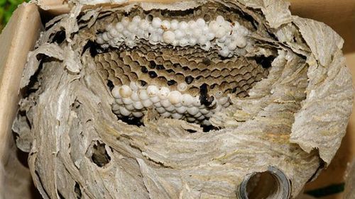 Image #1 from Carine Y.