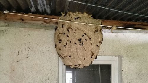 Image #1 from Antoine G.