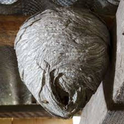 Image #1 from Flore P.