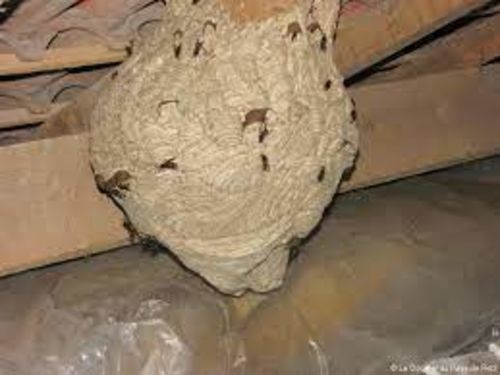 Image #1 from Martial C.