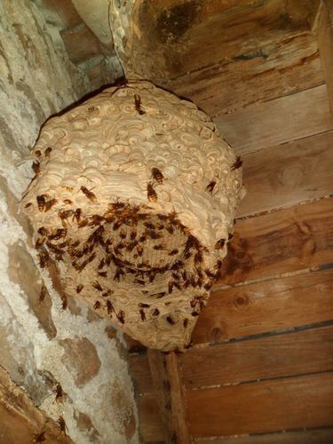 Image #1 from Jules O.