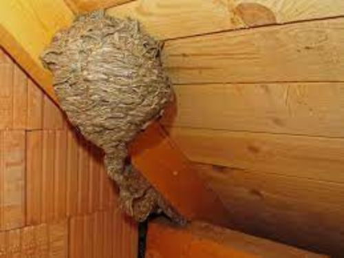 Image #1 from François A.