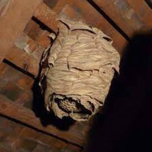 Image #1 from Benjamen P.